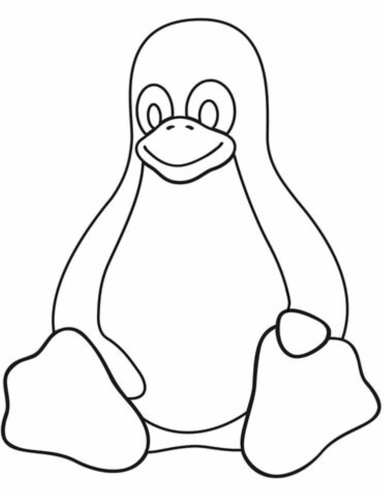 Pinguino Linux Tux da colorare