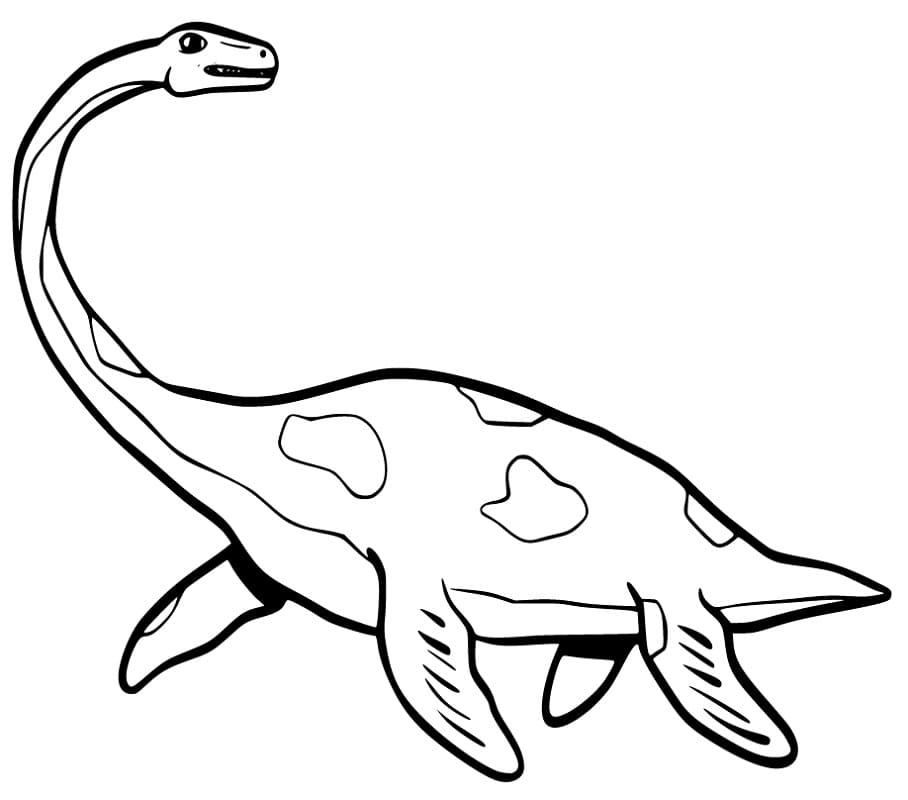 Plesiosauro di Dinosauro da colorare