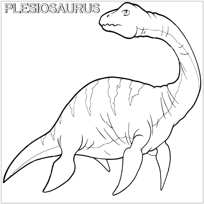 Plesiosauro Normale da colorare