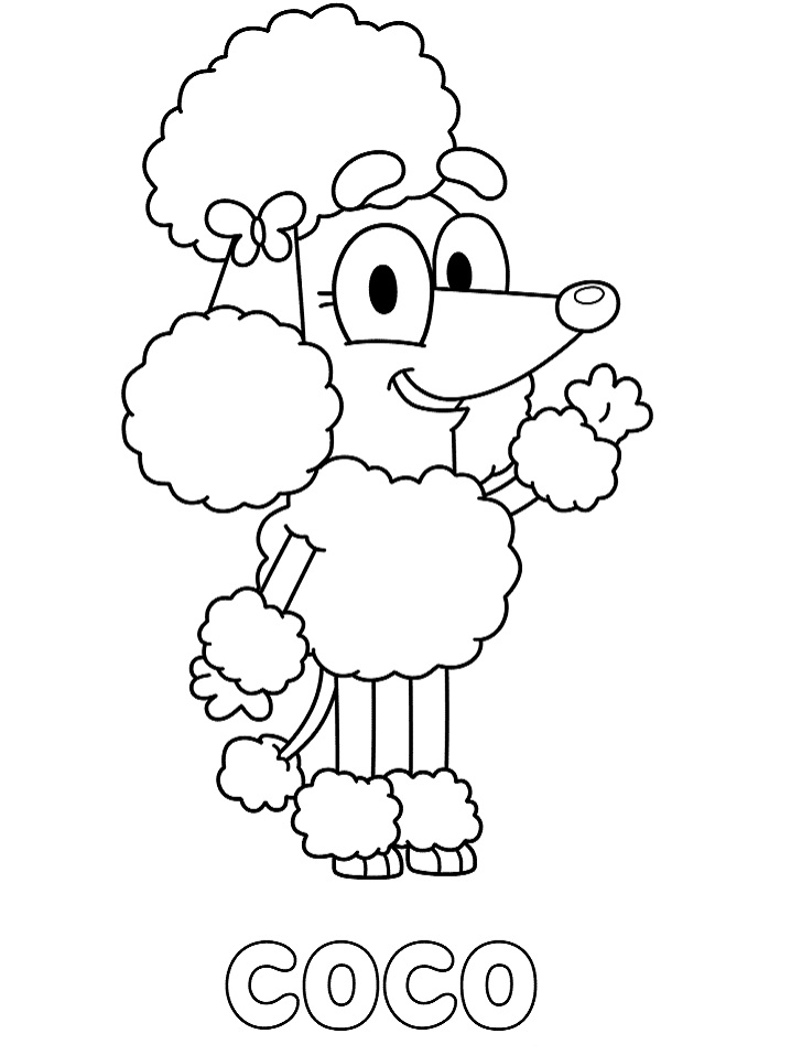 Poodle Coco 