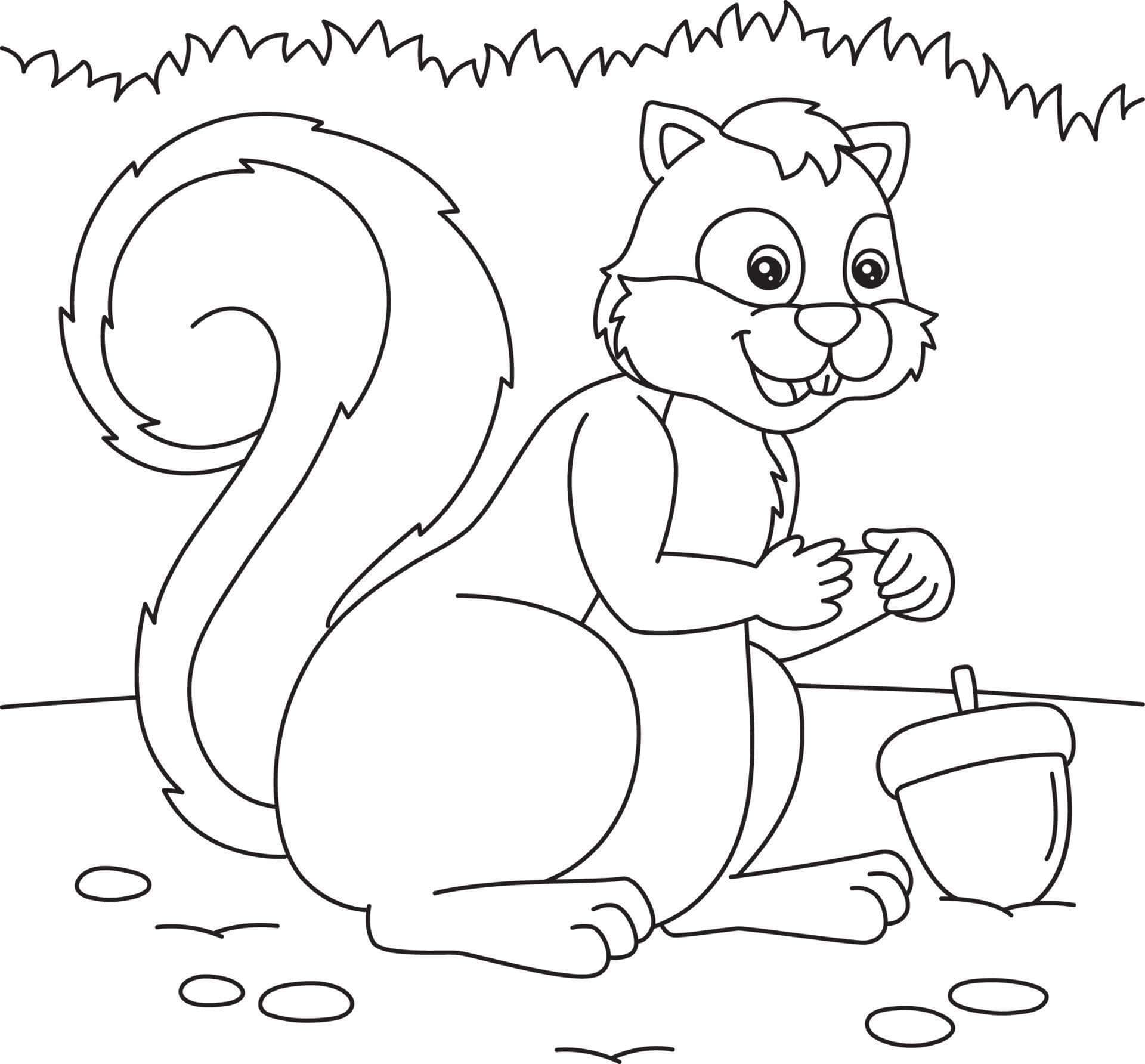 Fun Squirrel with Acorn da colorare