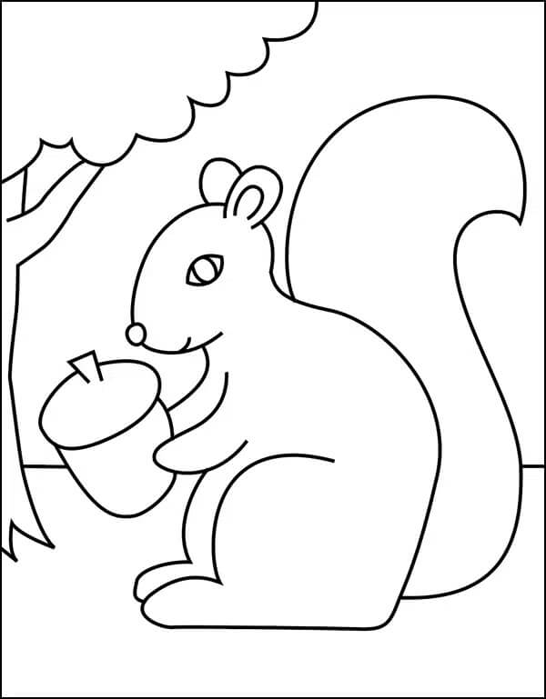 Easy Squirrel holding Acorn da colorare