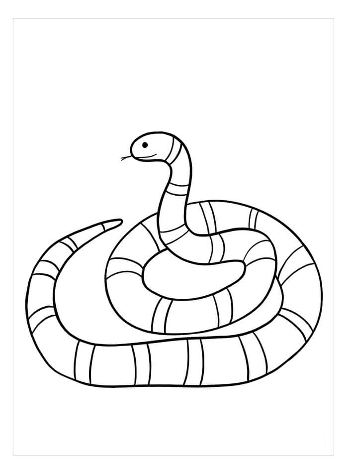 Serpente Corallo da colorare