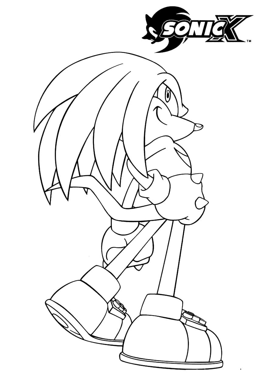 Sonic X Knuckles l’Echidna 