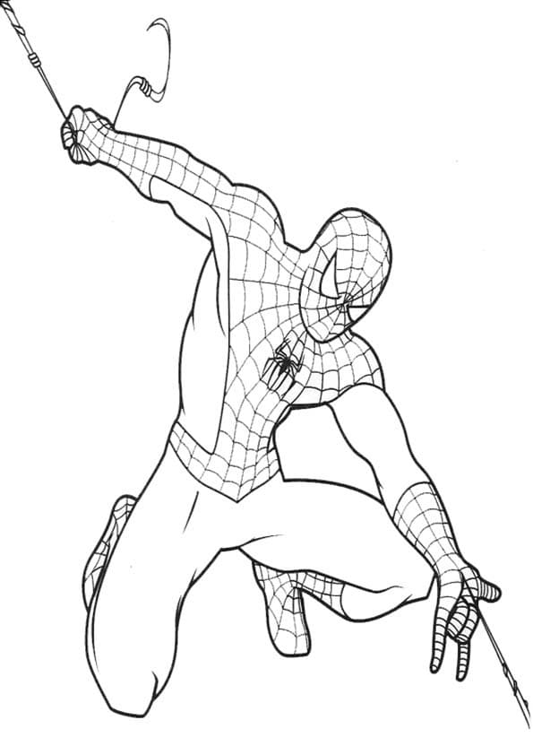 Spiderman Gratis da colorare