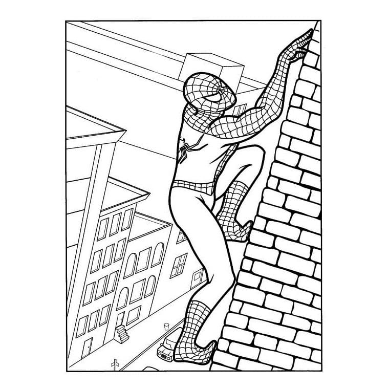 Spiderman sul Muro da colorare