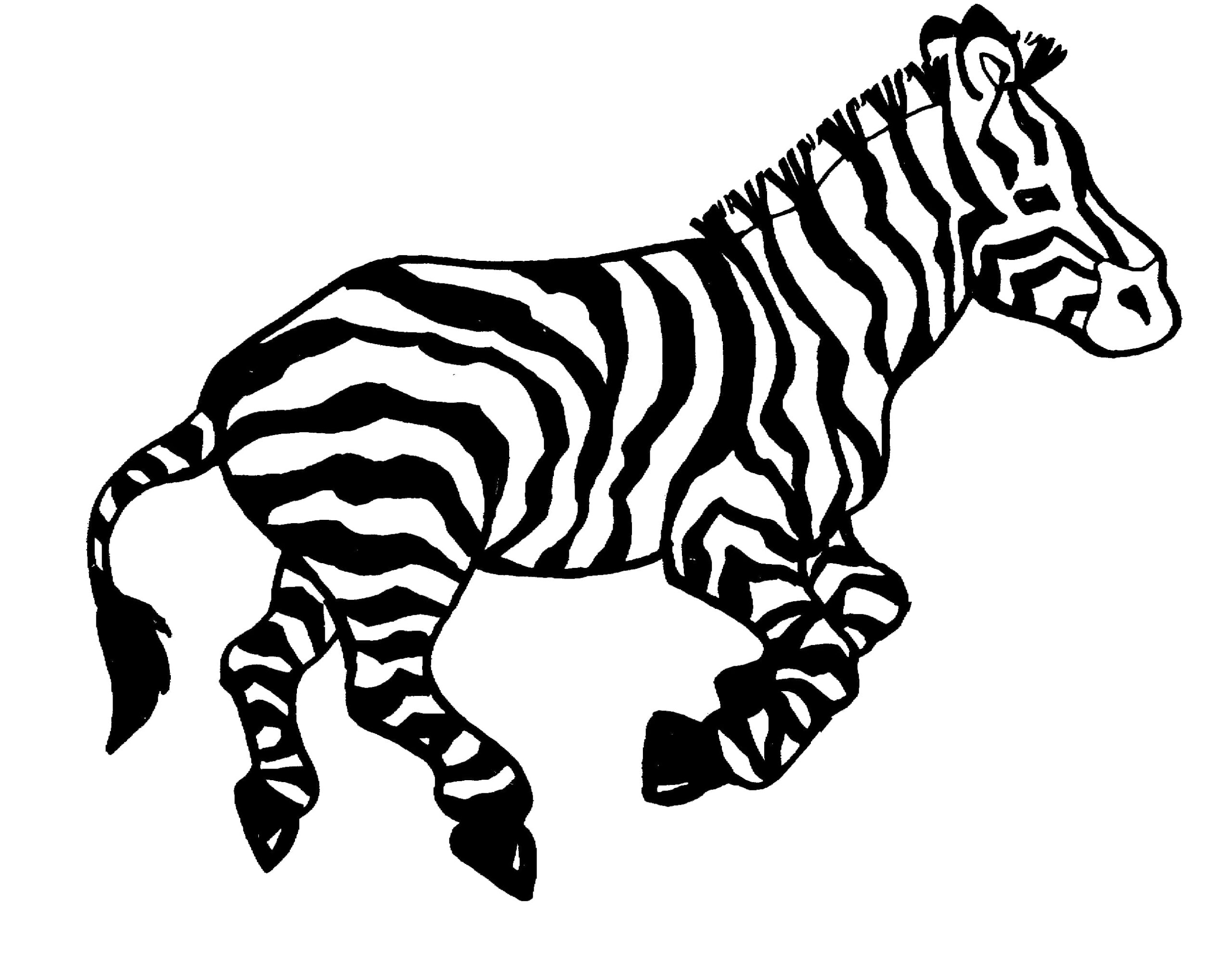 Stampa contorno Zebra da colorare