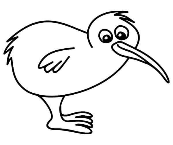 Stupido Disegno di Uccelli Kiwi da colorare