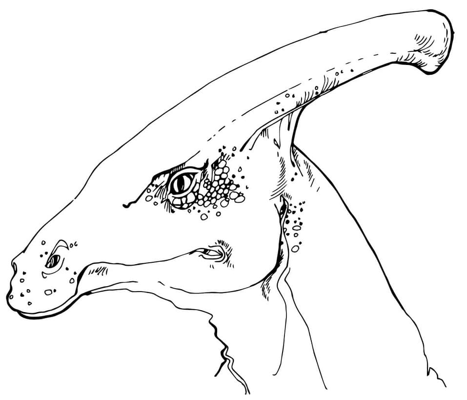 Testa di Parasaurolofo da colorare