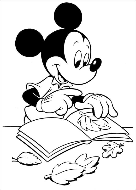 Topolino con Libro e Foglie 