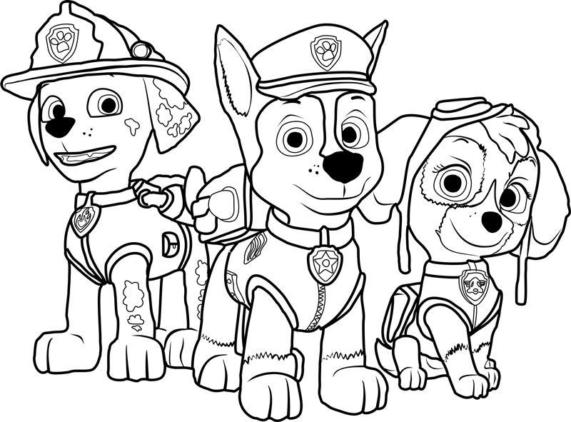 Paw Patrol