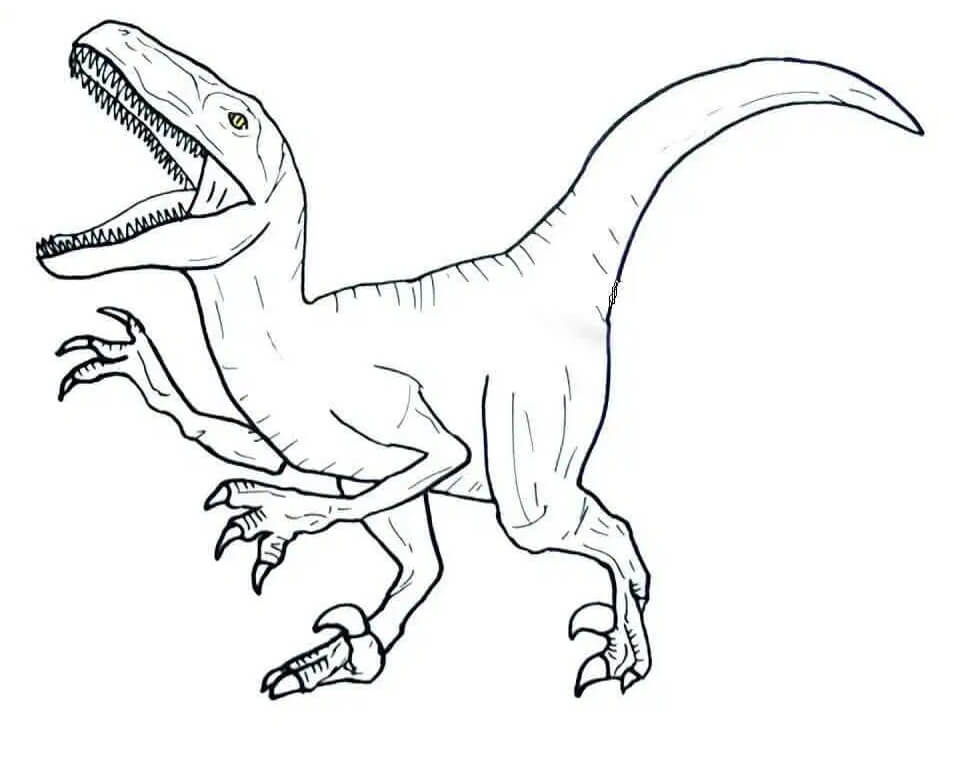 Velociraptor Stampabile da colorare