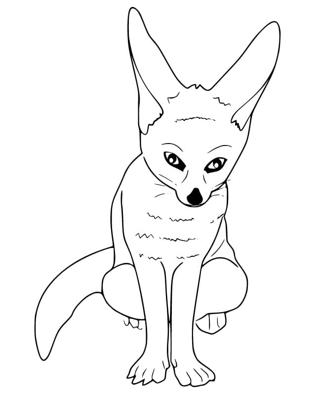 Volpe Fennec Gratis da colorare