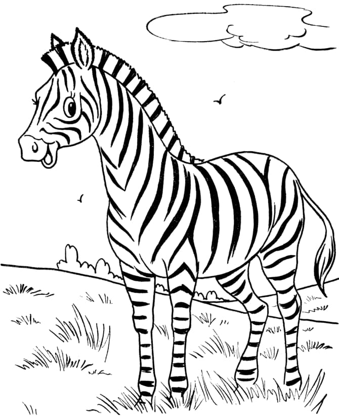 Zebra carine da colorare