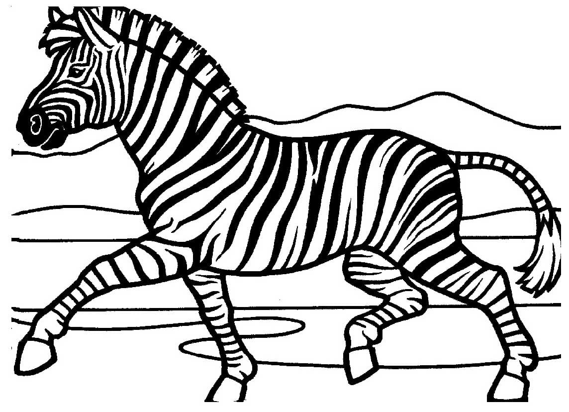 Zebra JPG da colorare