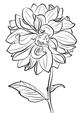 1527066209_dahlia-marguerite-clark-coloring-page 