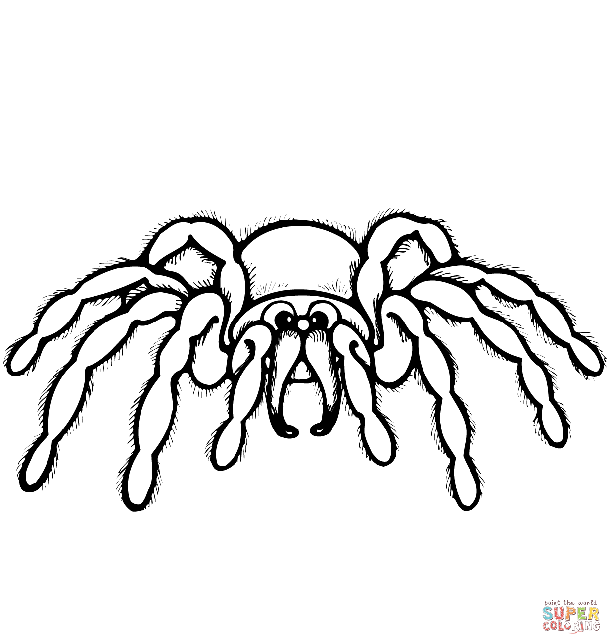 1545183392_cartoon-spider-coloring-page 