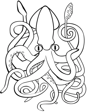 1559550070_squid-a4 