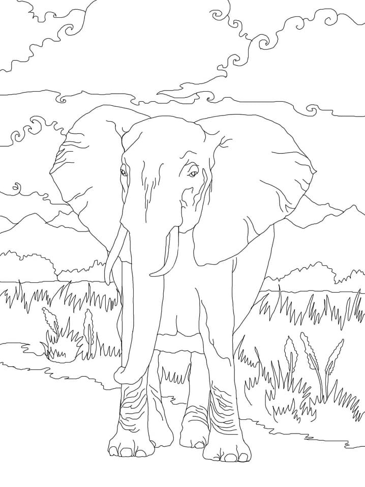 African Bush Elephant 1 coloring page 