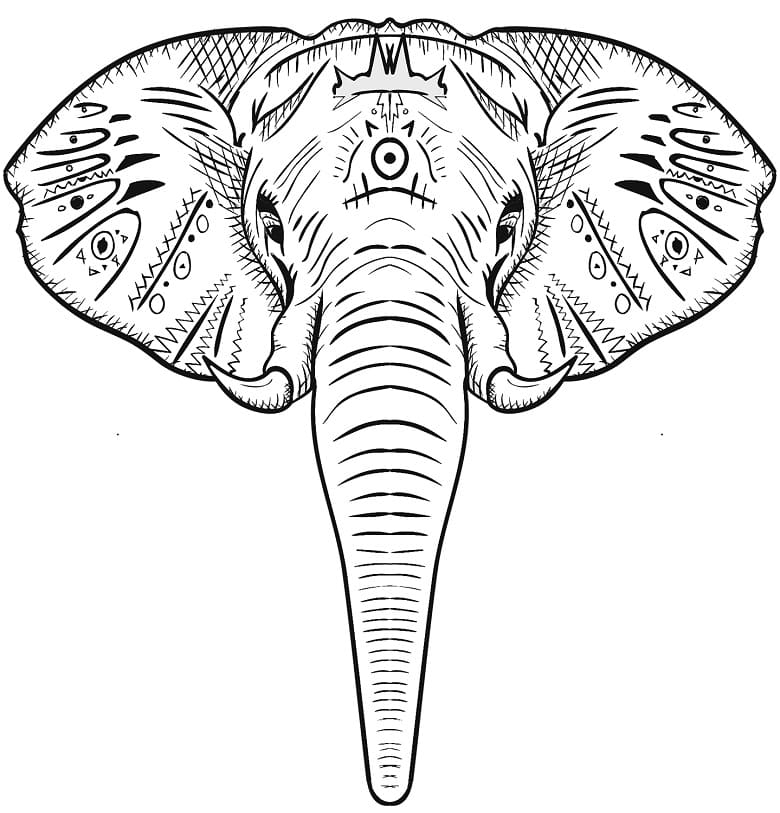 Amazing Elephant Head coloring page 