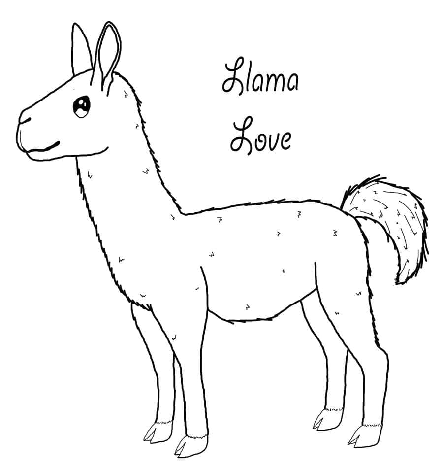 Amore per i lama da colorare