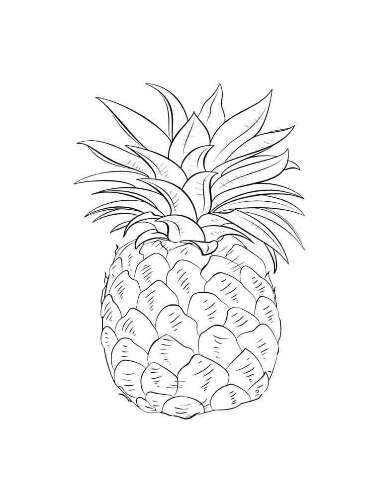 Ananas Frutta Stampabile Gratuitamente da colorare