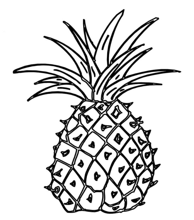 Ananas americano da colorare