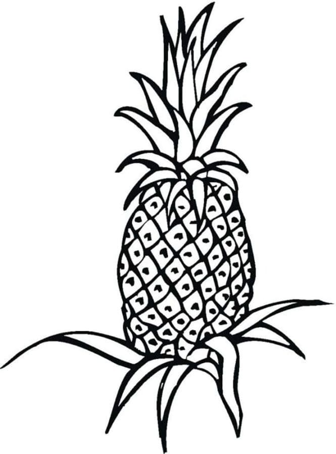 Ananas gratis per bambini da colorare