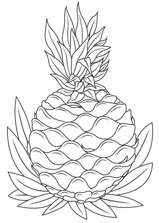 Ananas hawaiano da colorare