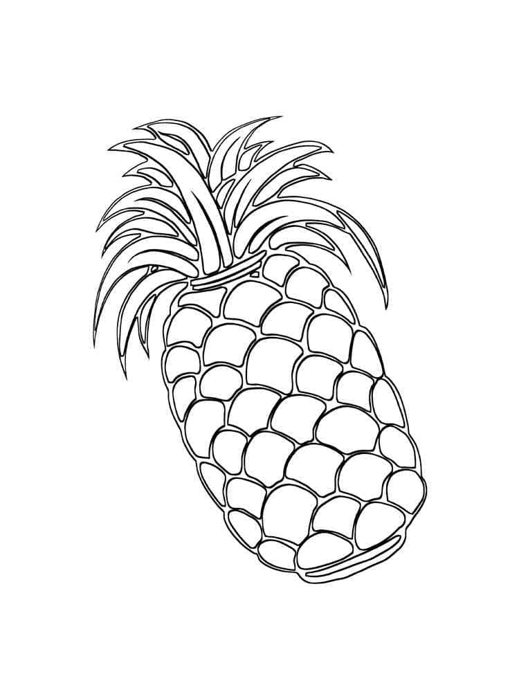 Ananas senza frutta da colorare