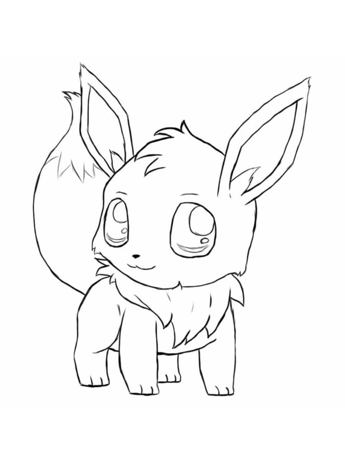 Aspetto carino di Eevee. 