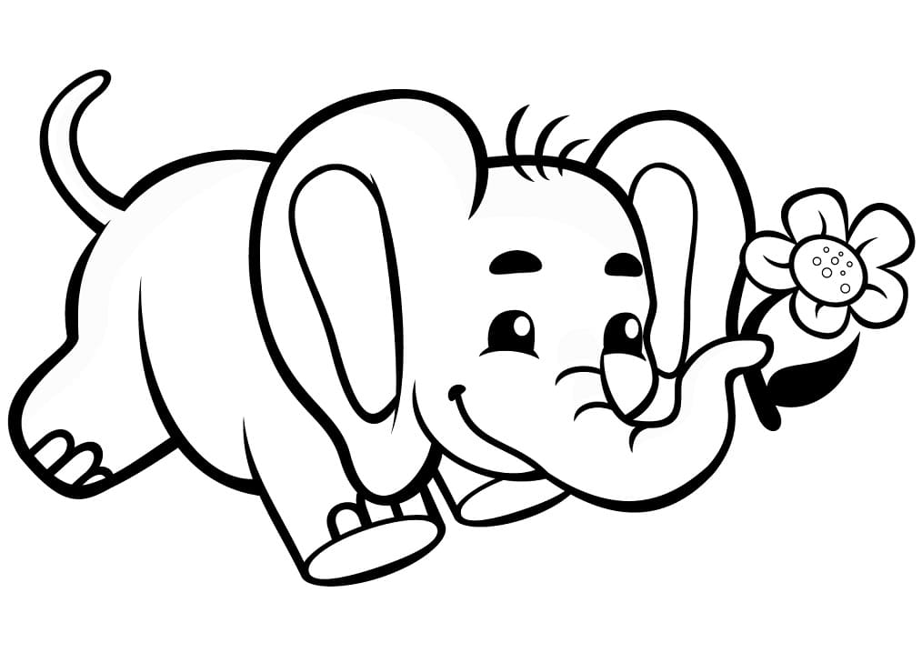 Baby Elephant and Flower coloring page 