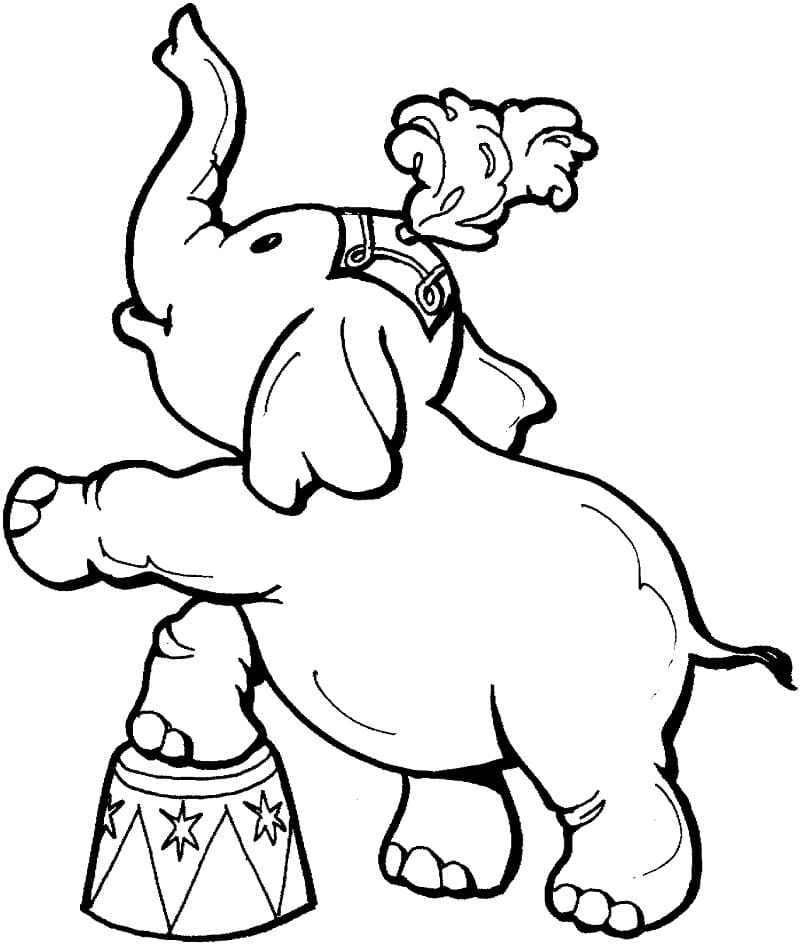 Baby Elephant in a Zoo coloring page 