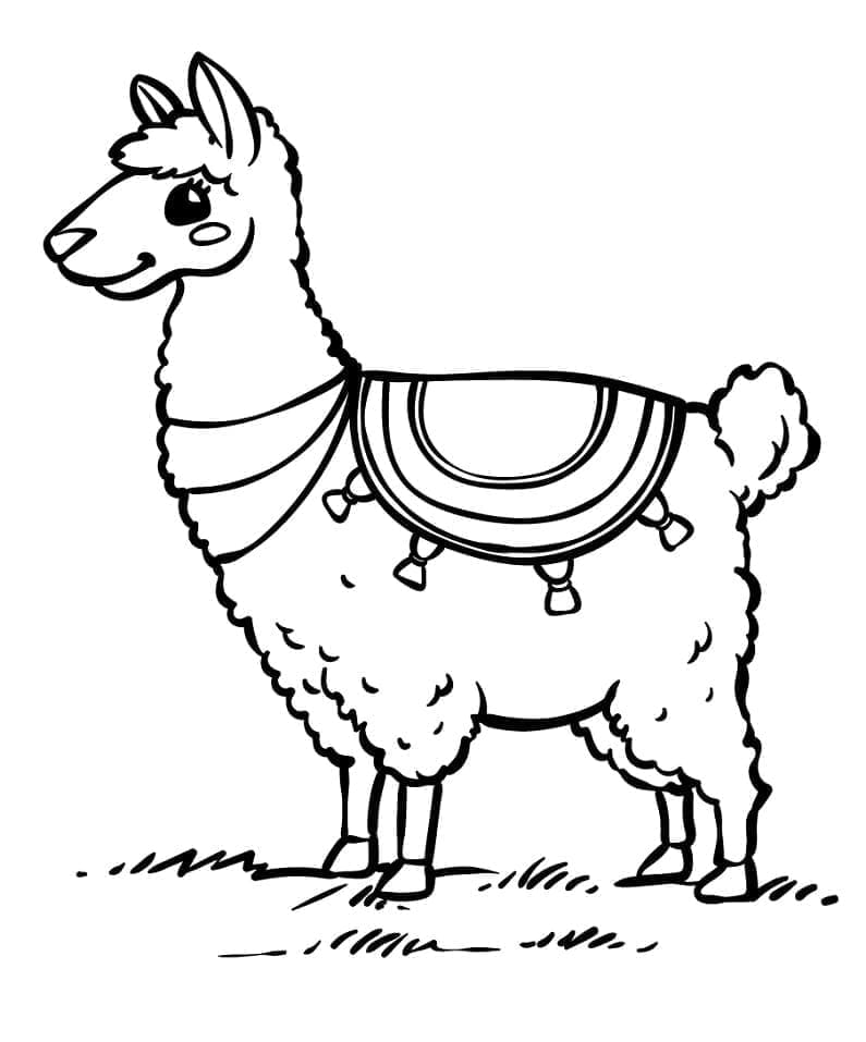 Bella lama da colorare