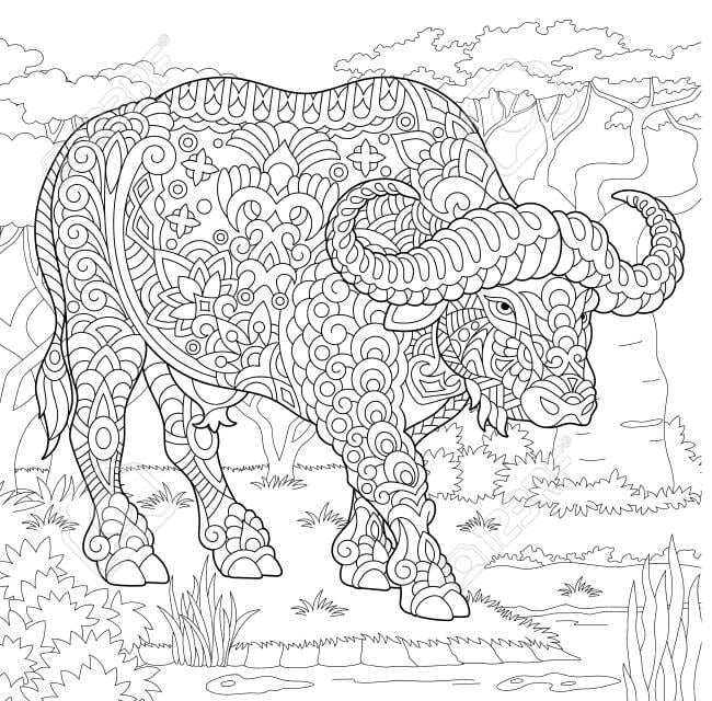 Bufalo Zentangle da colorare