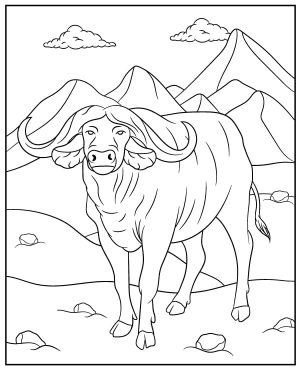 Bufalo africano libero da colorare