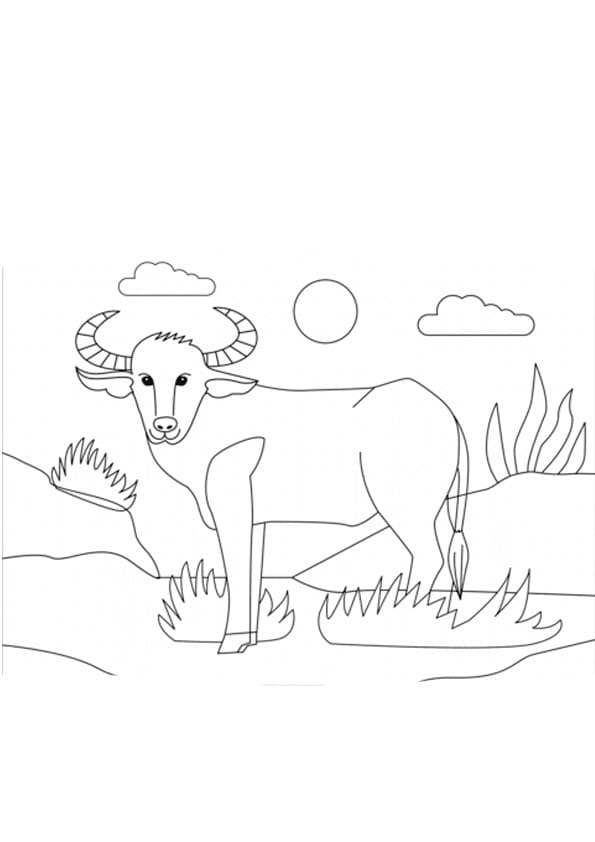 Bufalo in piedi da colorare