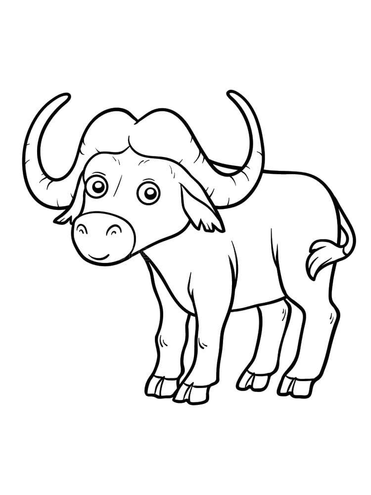 Bufalo libero da colorare