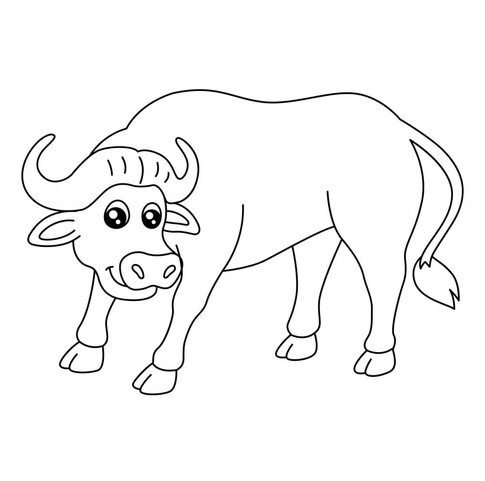 Bufalo per bambini da colorare