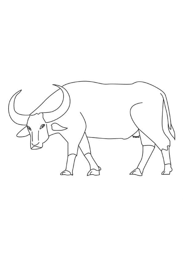 Bufalo stampabile da colorare