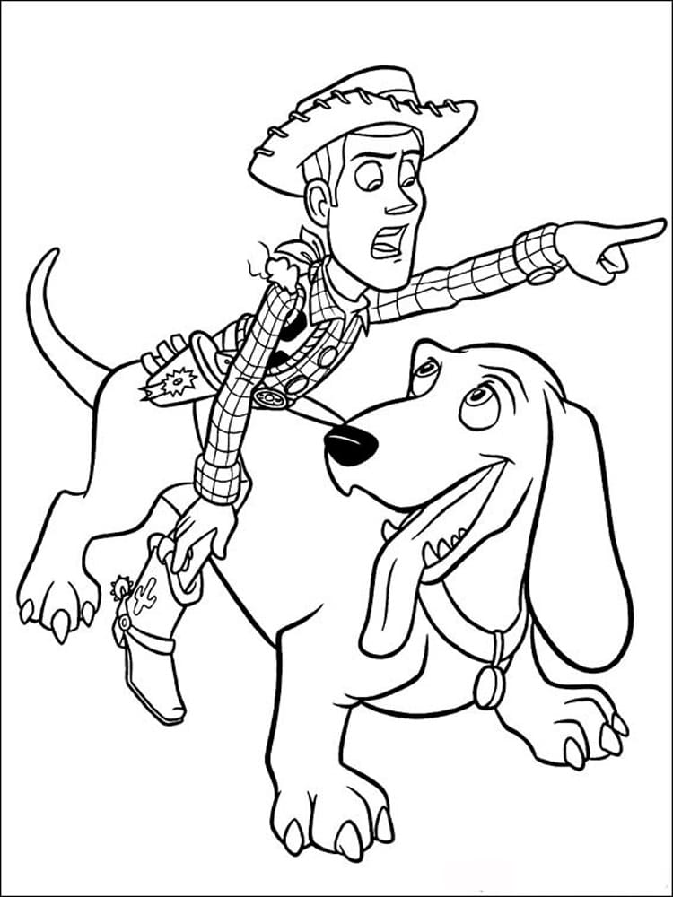 Buster e Woody Toy Story 