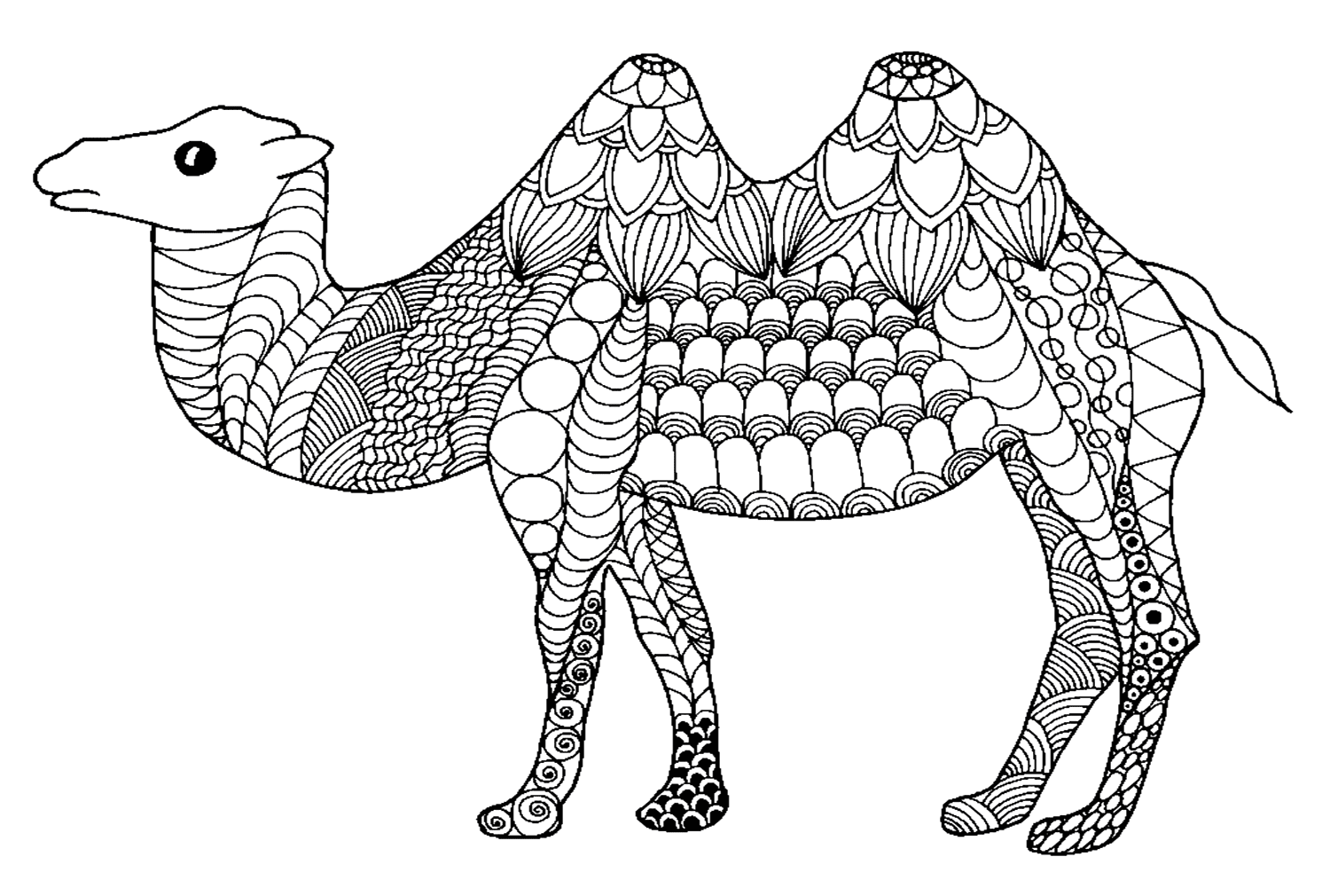 Cammello in stile Zentangle da colorare