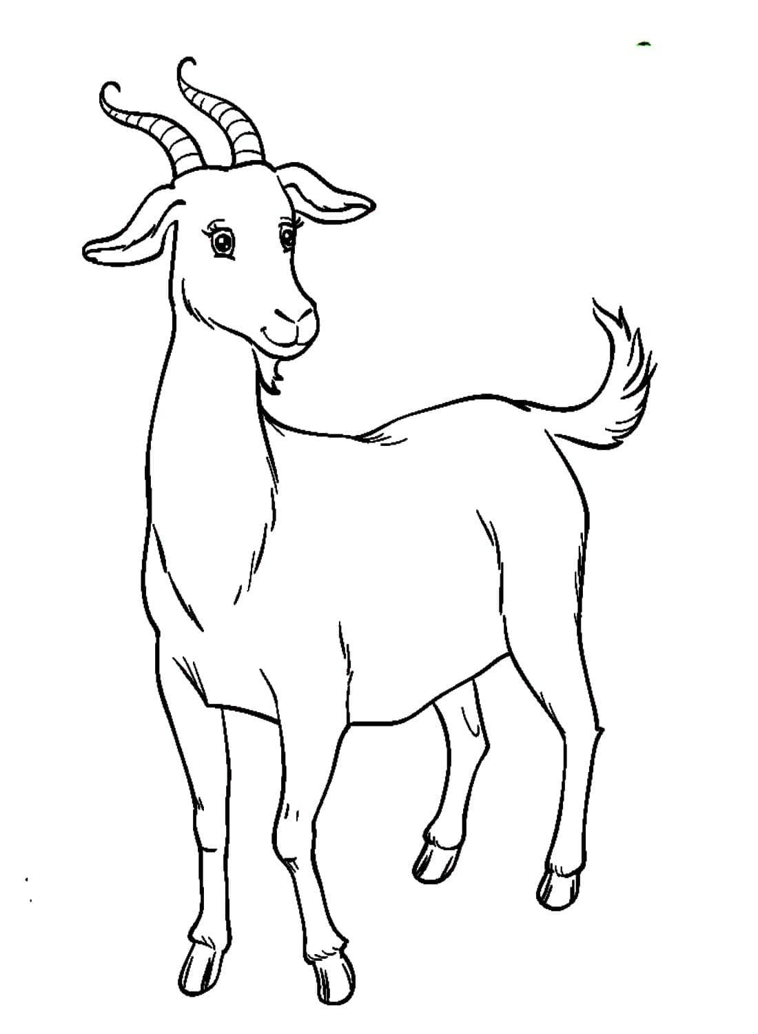 Capra adorabile da colorare