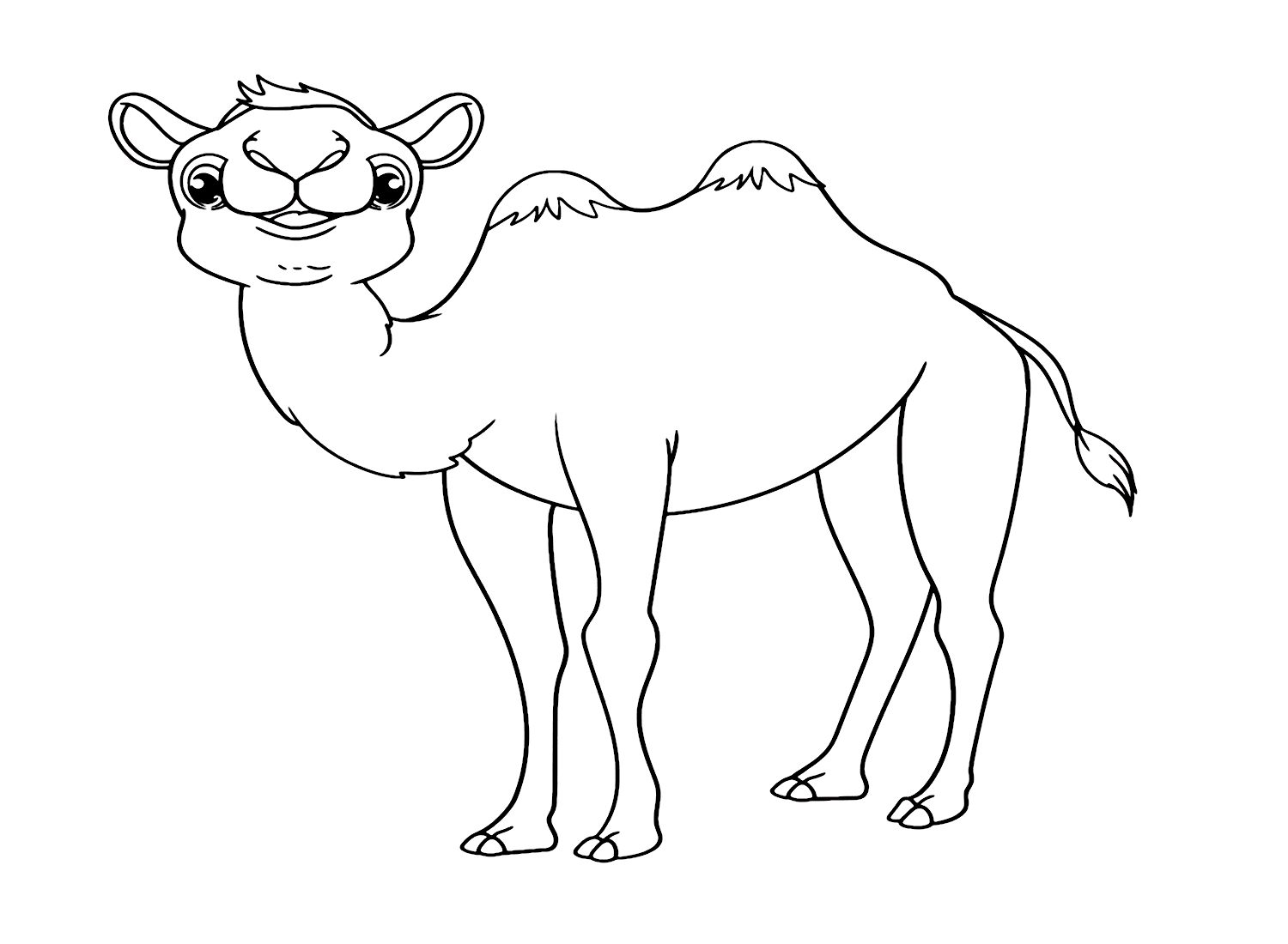 Cartone animato carino cammello da colorare