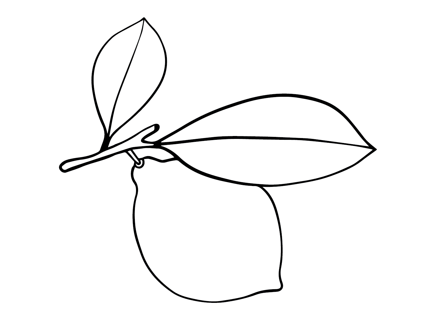 Disegnare i limoni da colorare