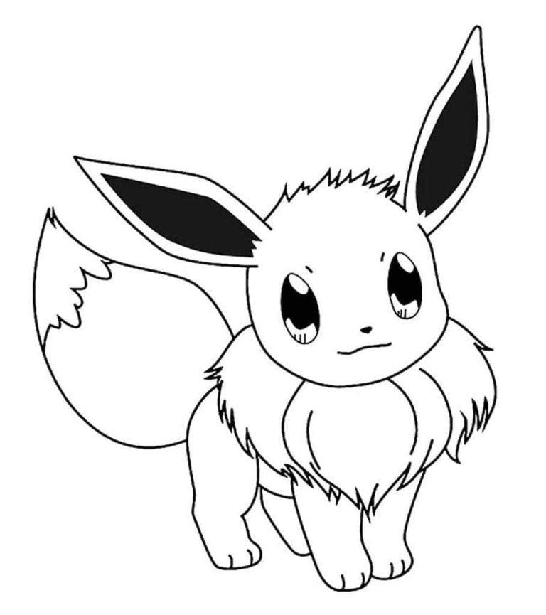 Eevee grosso 