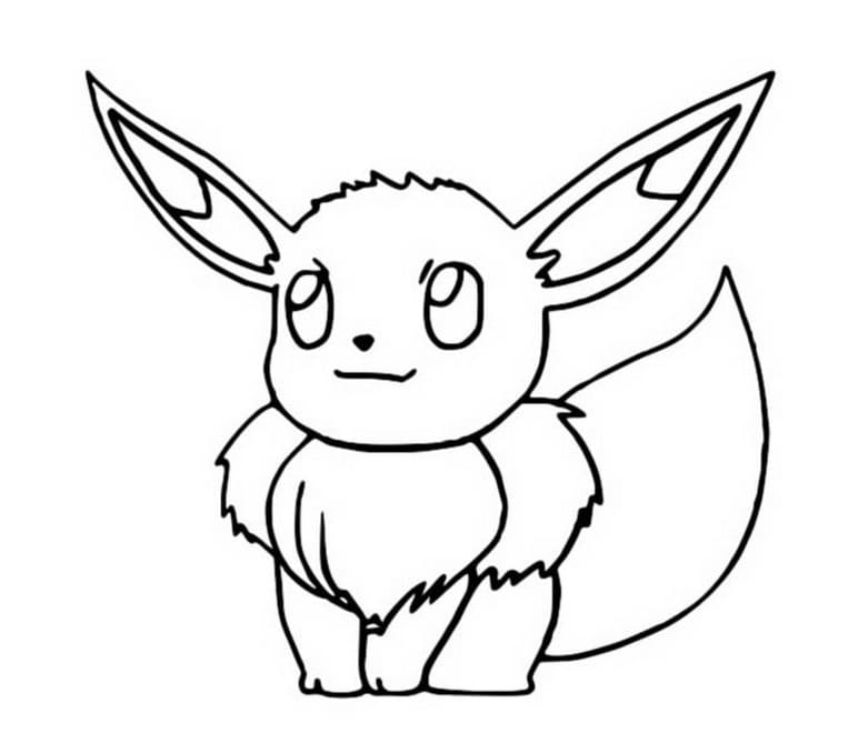 Eevee osserva da vicino. 