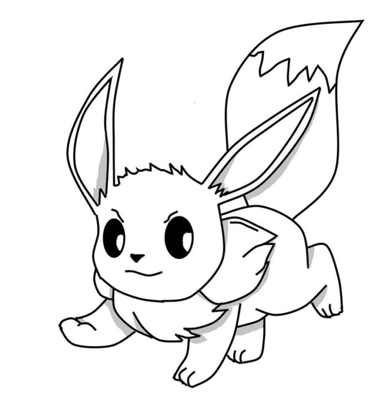 Eevee si prepara ad attaccare 