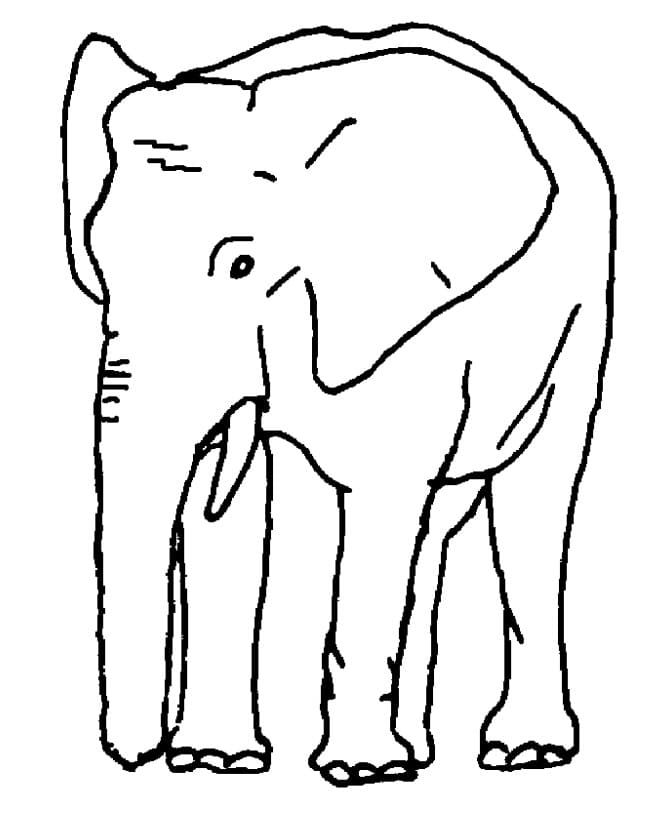 Elephant Printable coloring page 