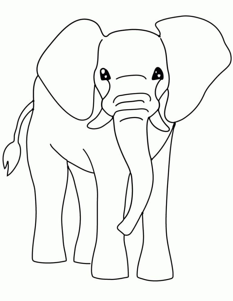 Elephant to Color coloring page 